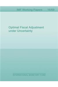 Optimal Fiscal Adjustment Under Uncertainty