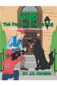 Gigi the Famous Rescue Dog