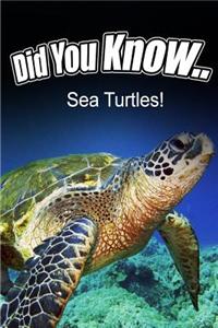 Sea Turtles
