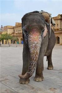 MindBlowing Elephant Journal 19