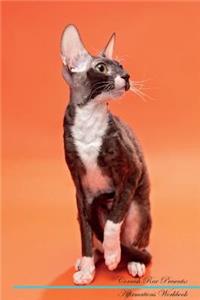 Cornish Rex Affirmations Workbook Cornish Rex Presents