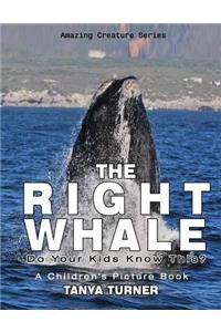 The Right Whale
