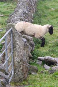 A Sheep Jumping Over a Stone Fence Journal