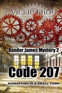Code 207: Kidnapped in a small town