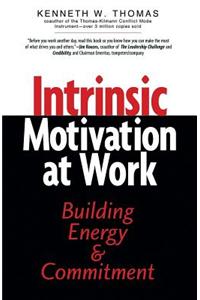 Intrinsic Motivation at Work