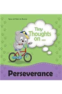 Tiny Thoughts on Perseverance