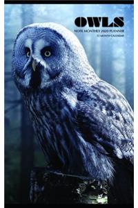 Owls Note Monthly 2020 Planner 12 Month Calendar