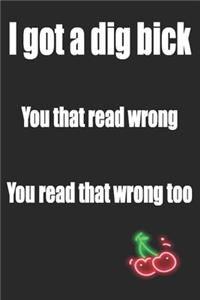 I got a Dig Bick You that Read Wrong