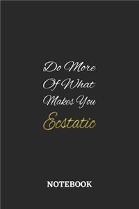 Do More Of What Makes You Ecststic
