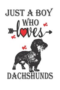 Just a Boy Who Loves Dachshunds