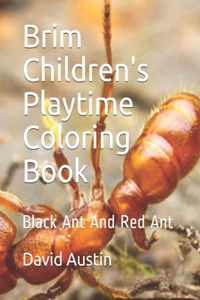 Brim Children's Playtime Coloring Book