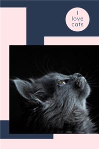 I love cats: Beautifull Cute College Notebook, Journal, Diary, great gift, perfect for writting notes, workbook for girls, kids, students, teens. I love cats (10