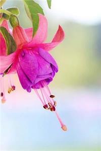 Fuchsia Notebook