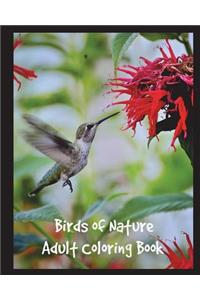 Birds of Nature Adult Coloring Book