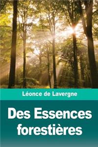 Des Essences forestières