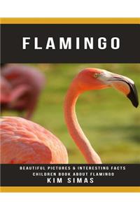 Flamingo: Beautiful Pictures & Interesting Facts Children Book about Flamingo