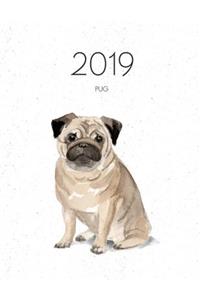 2019 Pug