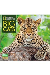 National Geographic Big Cats 2018 Wall Calendar