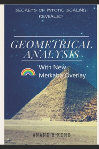 Geometrical Analysis