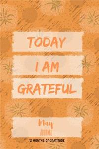 Today I am grateful