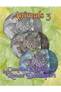 Animals 3