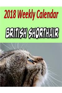 2018 Weekly Calendar British Shorthair