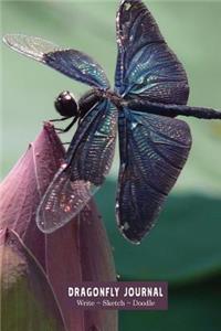 Dragonfly Journal: Write Sketch Doodle