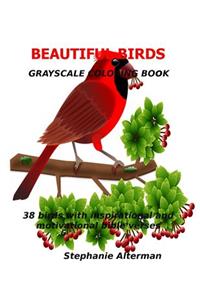 Beautiful Birds