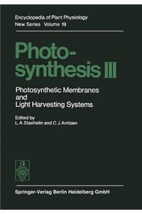 Photosynthesis III