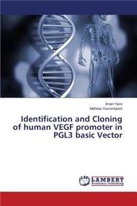 Identification and Cloning of Human Vegf Promoter in Pgl3 Basic Vector