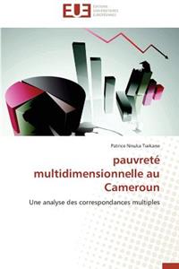 Pauvreté multidimensionnelle au cameroun