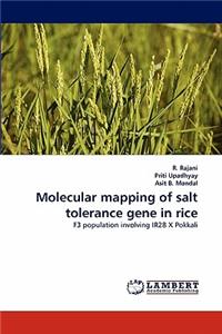Molecular Mapping of Salt Tolerance Gene in Rice