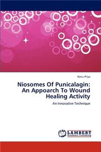 Niosomes Of Punicalagin: An Appoarch To Wound Healing Activity