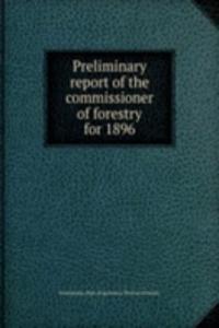 PRELIMINARY REPORT OF THE COMMISSIONER