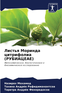 Листья Моринда цитрифолиа (РУБИАЦЕАЕ)