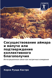 Сосуществование аймара и мапуче или подтв