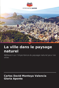 ville dans le paysage naturel
