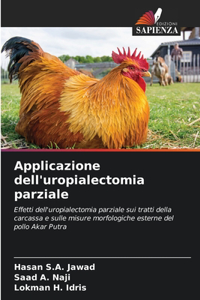 Applicazione dell'uropialectomia parziale