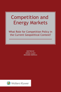 Competition and Energy Markets