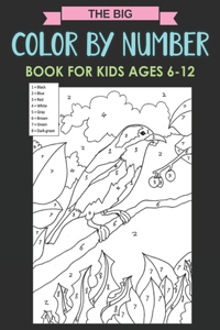 The Big Color By Number Book For Kids Ages 6-12