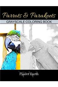 Parrots & Parakeets Grayscale Coloring Book: Adult Coloring Book with Beautiful Parrot Images.