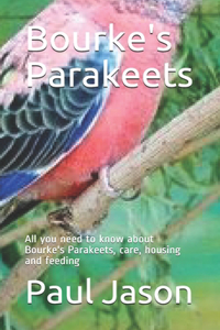 Bourke's Parakeets