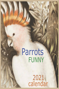 Parrots FUNNY