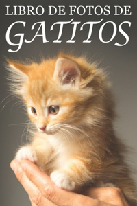 Libro de Fotos de Gatitos