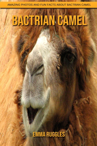 Bactrian camel