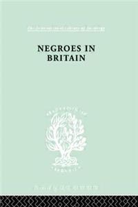 Negroes in Britain