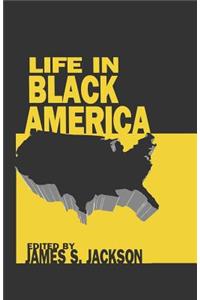 Life in Black America