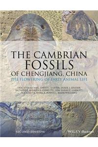 Cambrian Fossils of Chengjiang, China
