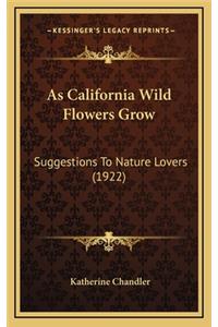 As California Wild Flowers Grow