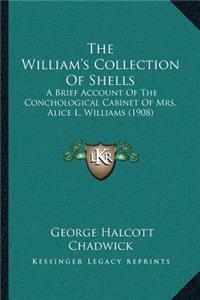 The William's Collection Of Shells